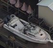Deportation Sought for Suspect in New York Harbor Tragedy