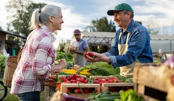 Health Expert Warns of Rising Cyclospora and Salmonella Outbreaks