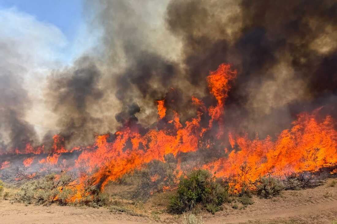 Wildfires Prompt Evacuations in Western U.S. and Canada