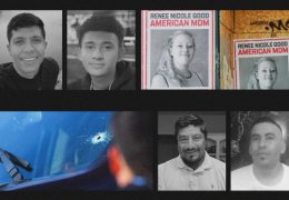 Incidents of Fatal Shootings by ICE Agents Under Scrutiny