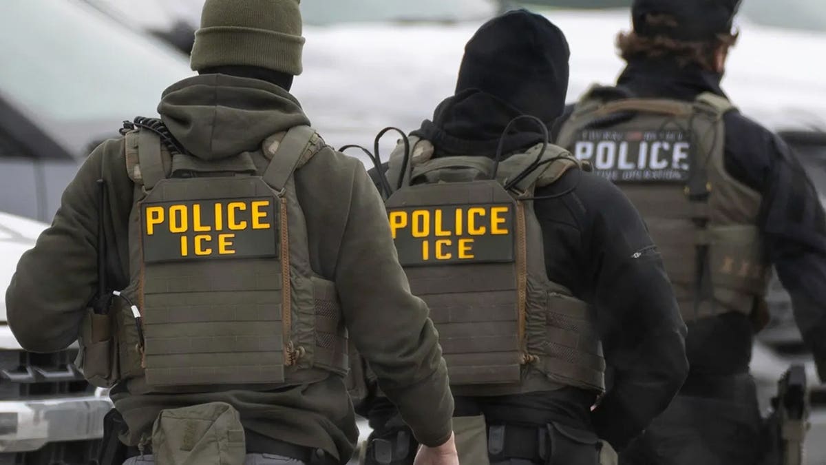 Federal Judge Halts New York Law on ICE Identification