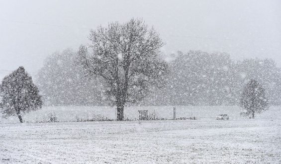 Old Farmer’s Almanac Predicts Challenging Winter 2026-2027 with Super El Niño Impact
