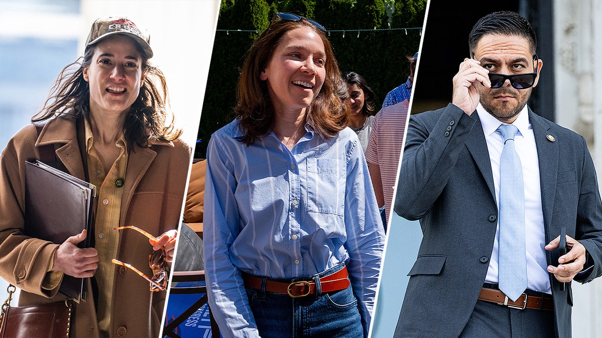 Democratic Socialists and Financial Anxieties: A Closer Look