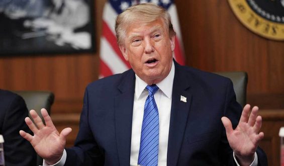 Tennessee Primary Tests Trump’s Influence in Key Congressional District