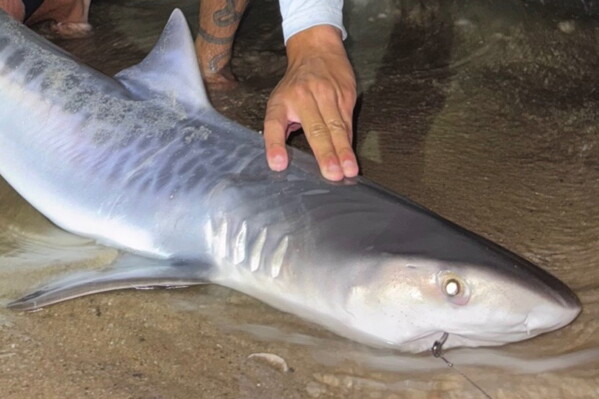 Federal Decision Balances Hydropower and Native Fish Conservation on Colorado River
