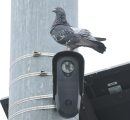 Debate Surrounding Automatic License Plate Readers Intensifies
