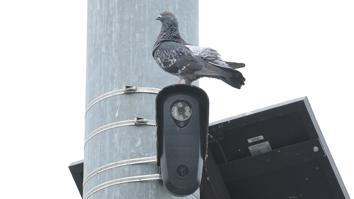 Debate Surrounding Automatic License Plate Readers Intensifies