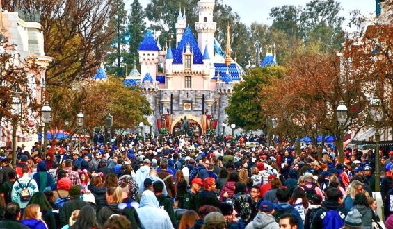 Disney and Magic United Face Challenges in Union Negotiations