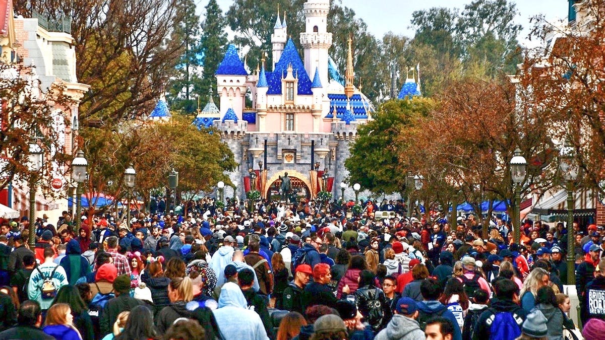 Disney and Magic United Face Challenges in Union Negotiations