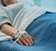Rise of Drug-Resistant Fungus Candida Auris in the U.S.