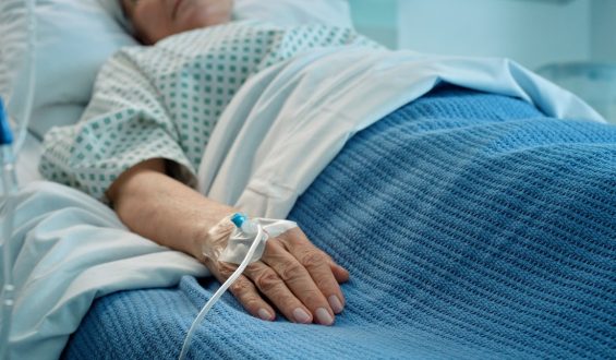 Rise of Drug-Resistant Fungus Candida Auris in the U.S.