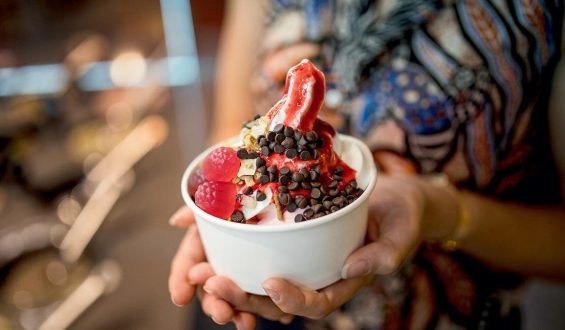 Frozen Yogurt’s Rising Popularity: Insights and Trends