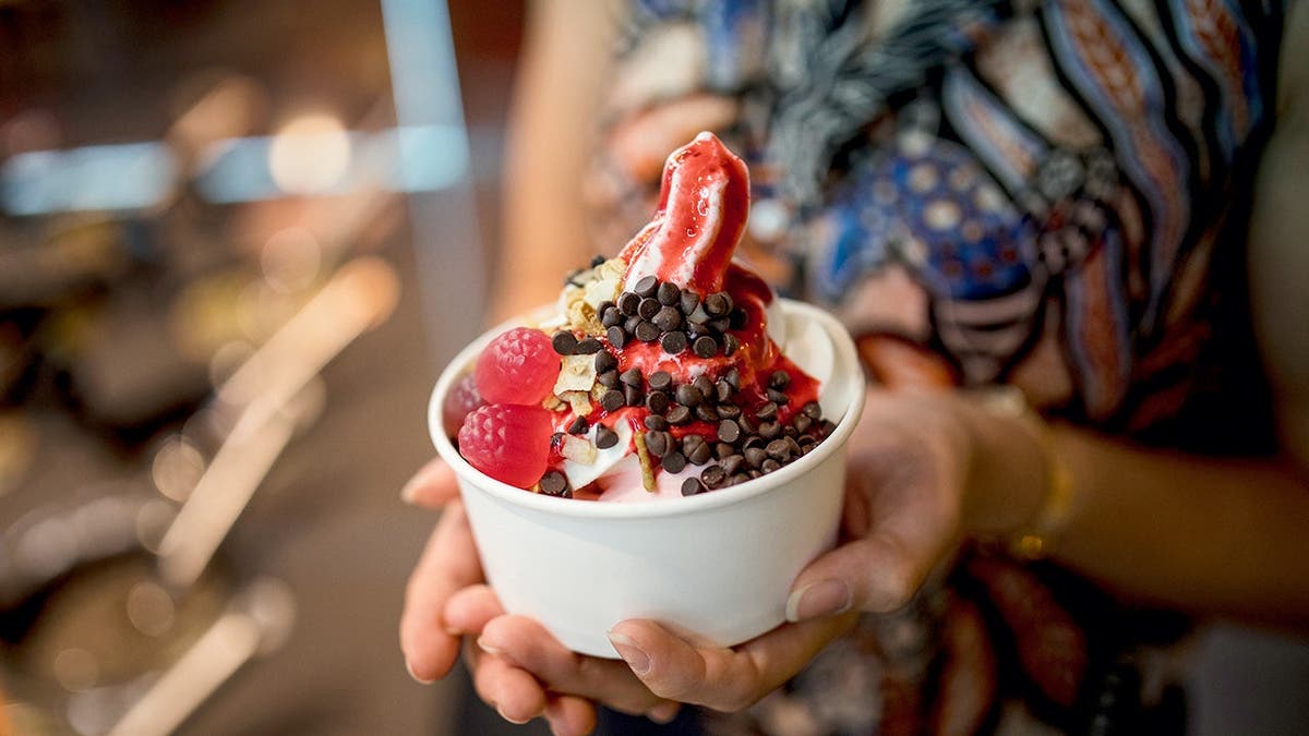 Frozen Yogurt’s Rising Popularity: Insights and Trends