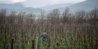 South Africa’s Land Law and Its International Implications