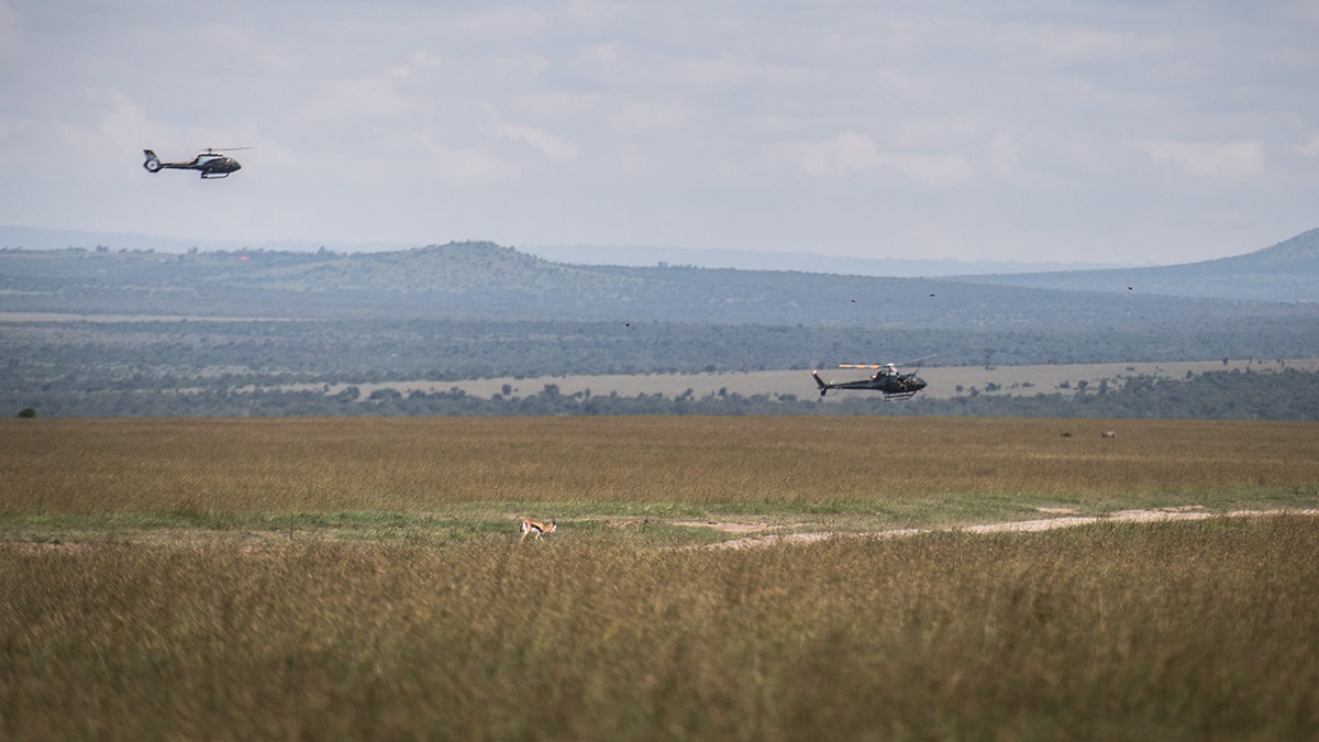 Helicopter Crash in Kenya Claims Lives of Five Americans