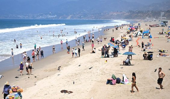 Lifeguard and Beach Safety: Ensuring Safety Amid High Surf Conditions