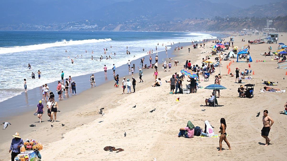 Lifeguard and Beach Safety: Ensuring Safety Amid High Surf Conditions