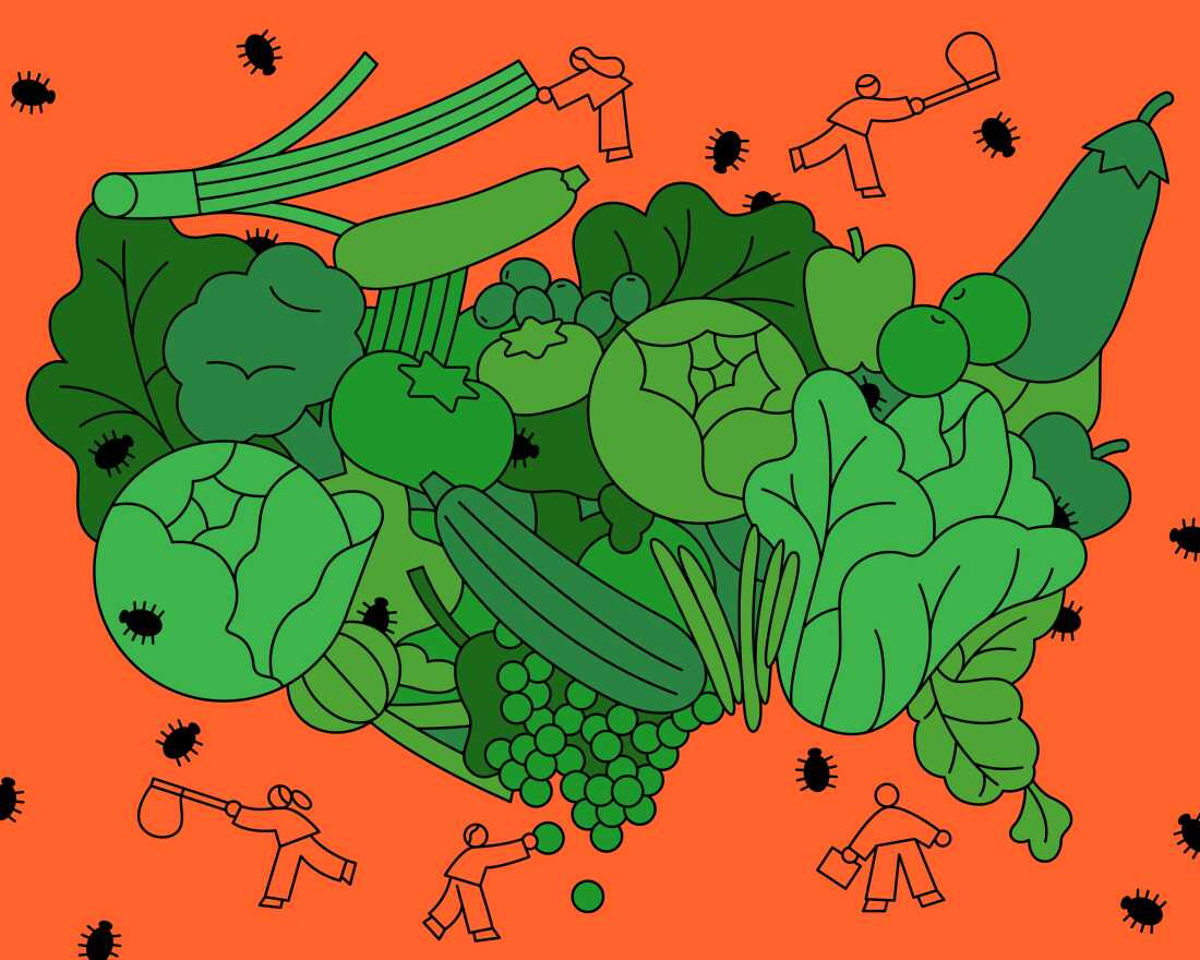 Challenges in U.S. Food Safety Amid Cyclosporiasis Outbreak