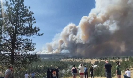 Efforts Continue to Combat Spokane Complex Fire