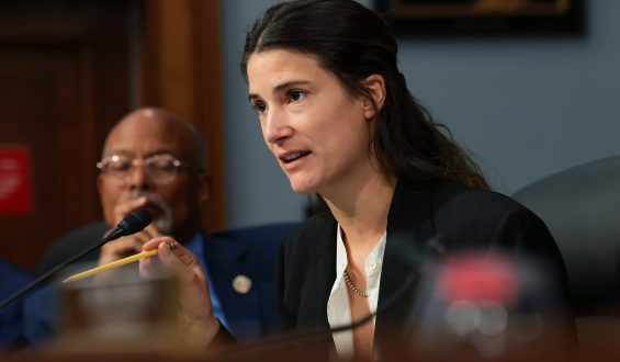 Democratic Primaries Highlight Key Races in Michigan and Beyond