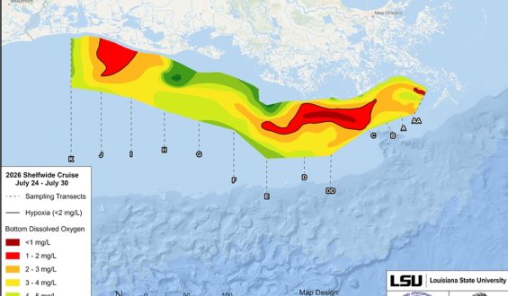 NOAA Reports Smaller-Than-Expected ‘Dead Zone’ in Gulf of Mexico