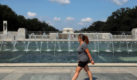 Trump Attributes Dead Grass on National Mall to Vandalism