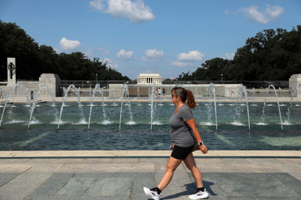 Trump Attributes Dead Grass on National Mall to Vandalism