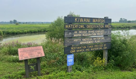 Indiana Wetlands Program Faces Federal Compliance Issues