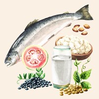 Understanding Protein: Needs, Sources, and Misconceptions