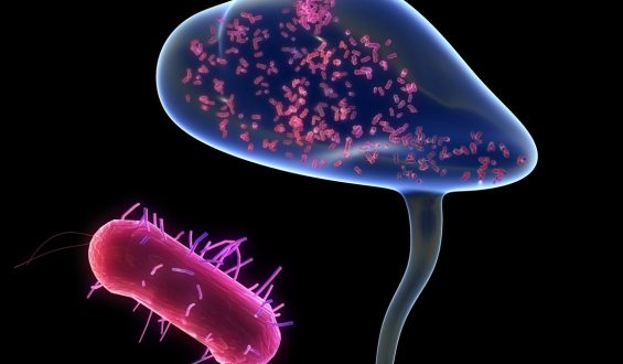 Understanding UTIs and the Role of Recurring Infections