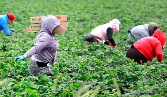 Pilot Visa Program to Address Labor Shortages