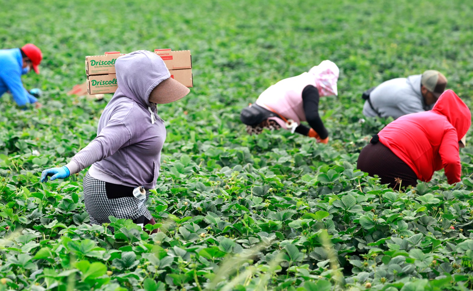 Pilot Visa Program to Address Labor Shortages