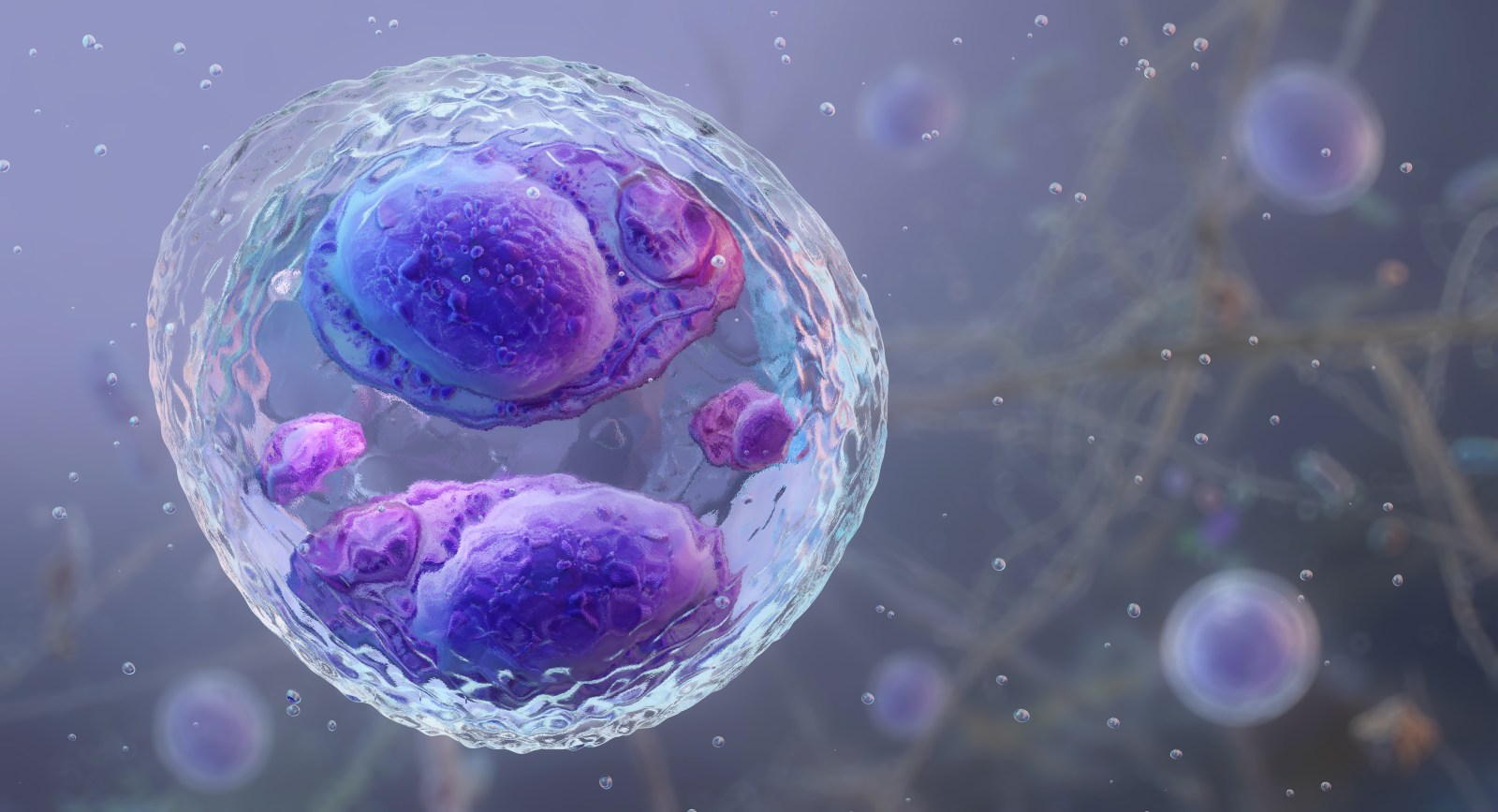 Foodborne Pathogens: Rising Concerns and Preventative Measures