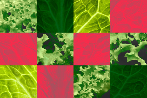 Understanding Cyclospora Infection: Prevention and Management