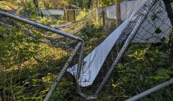 Nonprofits Tackle Storm Damage in Northwest Indiana