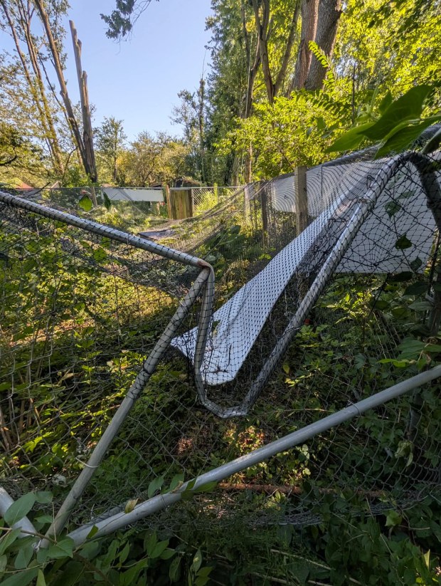 Nonprofits Tackle Storm Damage in Northwest Indiana