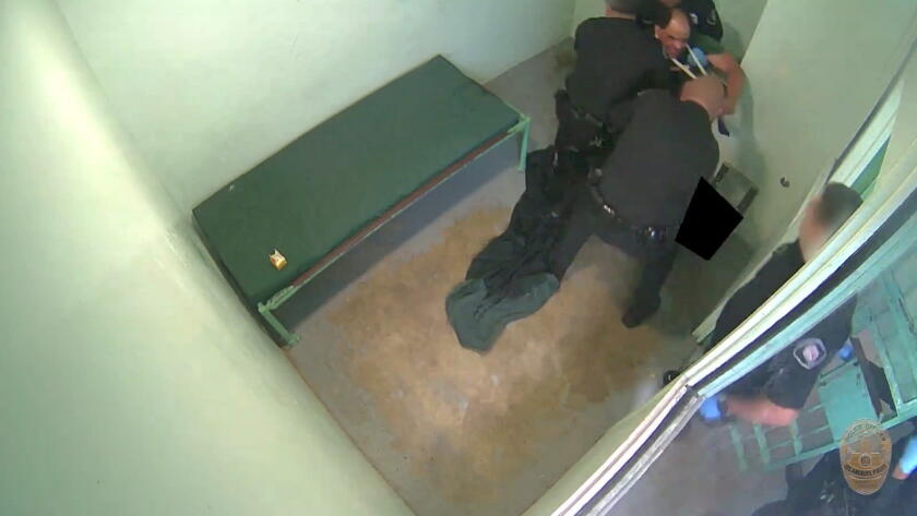Independent Review Called For After LAPD Incidents Involving Mental Health Crises