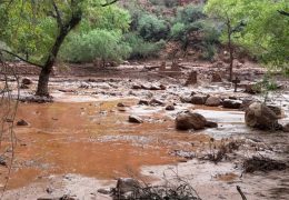 Flash Floods Impact Grand Canyon’s Phantom Ranch Area
