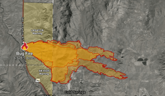 Bug Fire Threatens Communities on California-Nevada Border with Rapid Spread
