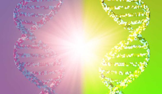 Why Scientists Are Concerned About Mirror Cells
