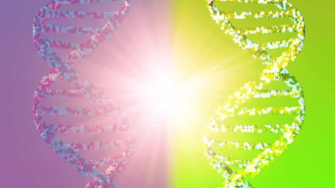 Why Scientists Are Concerned About Mirror Cells