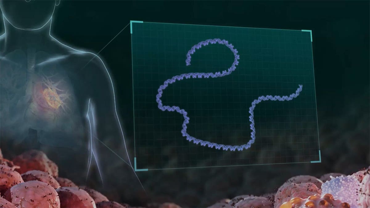 Experimental Skin Cancer Vaccine Shows Promising Results in Trial