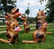 Republican Day Highlights: Illinois GOP Faces Challenges and Opportunities at State Fair