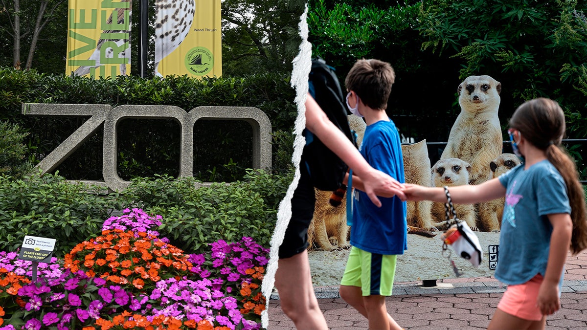 Smithsonian National Zoo’s Focus on DEI and Climate Change
