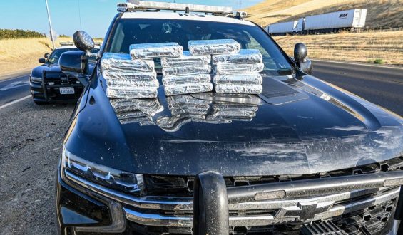 California Traffic Stop Leads to $800,000 Cocaine Seizure