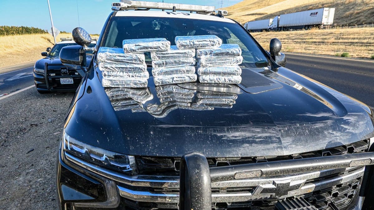 California Traffic Stop Leads to $800,000 Cocaine Seizure
