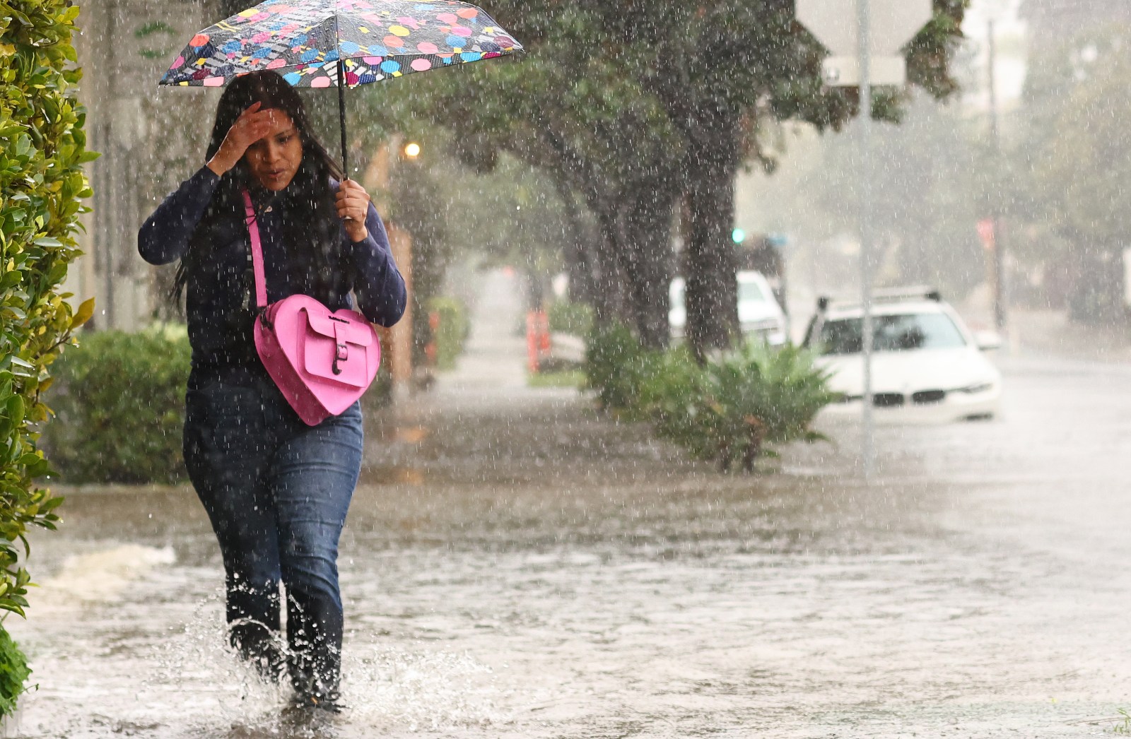 Understanding the Impact of Super El Niño on U.S. Weather Patterns
