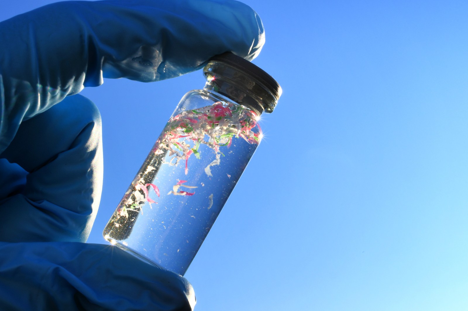 Polyethylene in Food Packaging and Its Impact on Liver Health