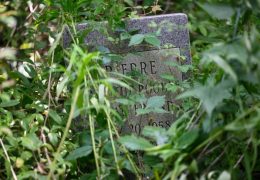 Center Township Takes Responsibility for Forgotten Cemetery