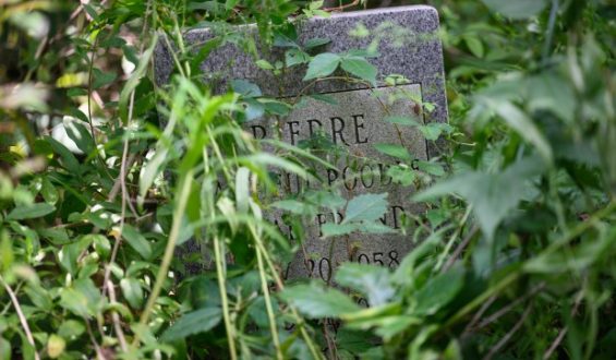 Center Township Takes Responsibility for Forgotten Cemetery